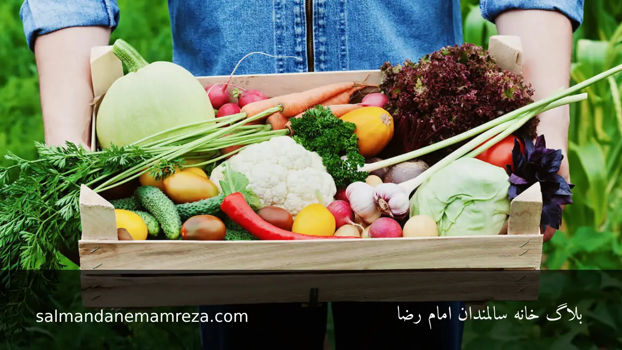 مرکز نگهداری سالمندان امام رضا 2025-05-17 غذاهای ارگانیک - آنچه باید بدانید