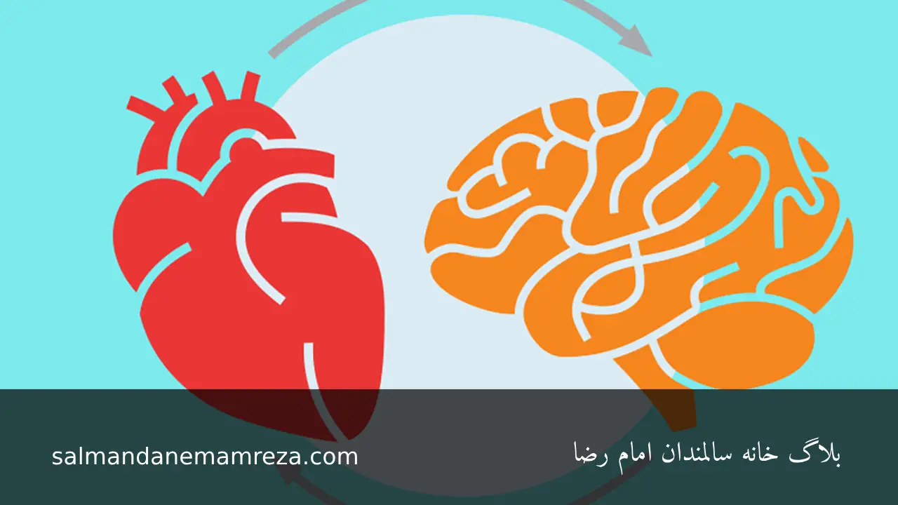سلامت قلب و مغز برای سالمندان - خانه سالمندان مشهد 