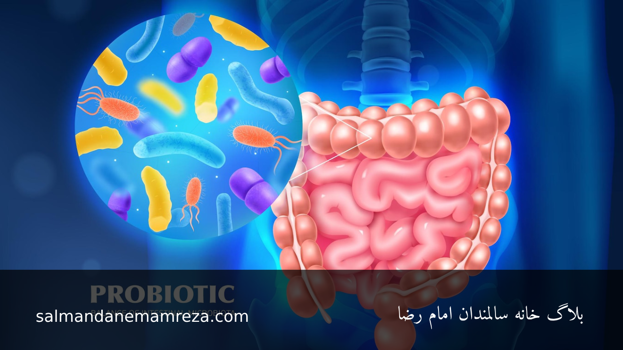 سلامت گوارش سالمندان - خانه سالمندان مشهد 