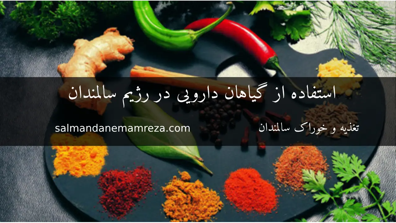استفاده از گیاهان دارویی در رژیم سالمندان - خانه سالمندان مشهد