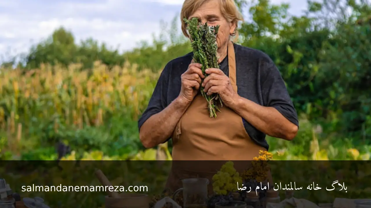 استفاده از گیاهان دارویی در رژیم سالمندان - خانه سالمندان مشهد